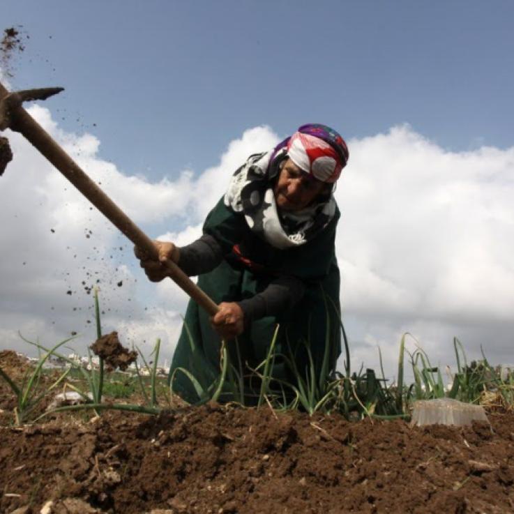 An elderly woman uses a digging hoe. The image is taken from ground level, with soil visible in the foreground and blue sky and clouds in the background.